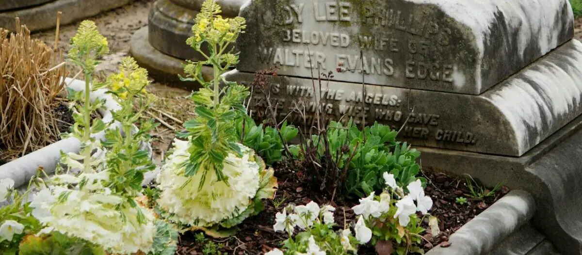 Bepflanzungsrichtlinien auf dem Friedhof: Gestaltung im Einklang mit der Natur